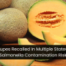 Cantaloupes Recalled In Multiple States Due To Salmonella Contamination Risk