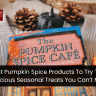 The 7 Best Pumpkin Spice Products To Try This Fall—Delicious Seasonal Treats You Can’t Miss