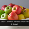 15 Popular Apple Varieties Ranked: The Best One Is Tart & Sweet